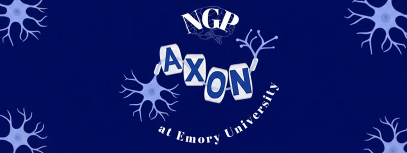 AXON Social / Newsletters