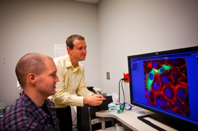 men looking at imaging on a computer screen