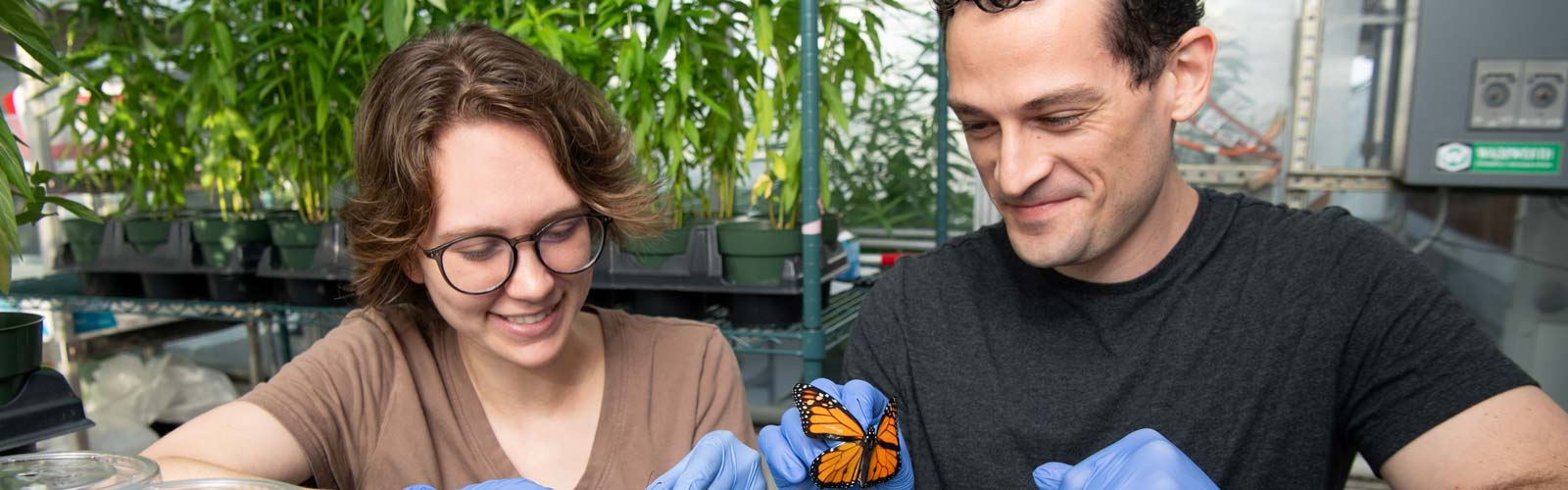 Lab members examining a butterfly