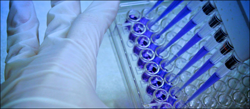 Set of pipettes