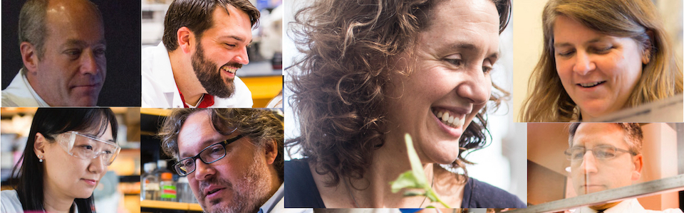 Collage of faculty members