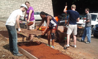 Image for
Fernbank Science Center Gardens, Spring 2014
